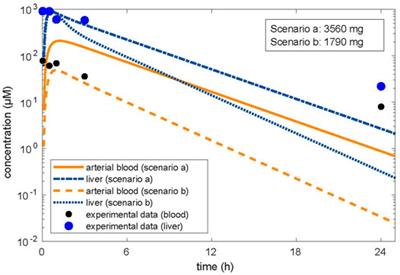 In Vitro–In Vivo Extrapolation by Physiologically Based Kinetic Modeling: Experience With Three Case Studies and Lessons Learned